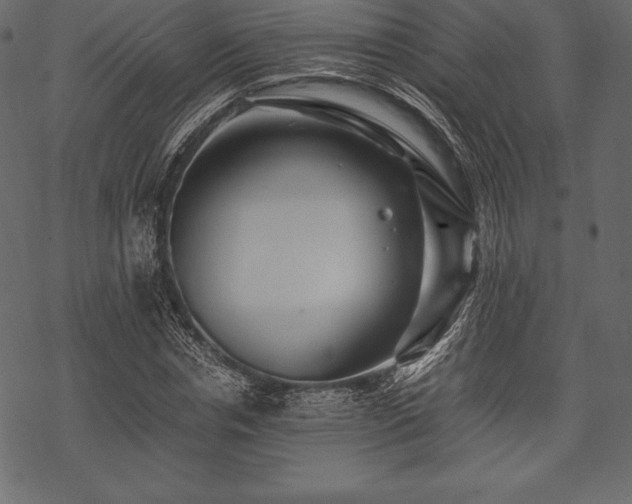 X0000070190826200605301310