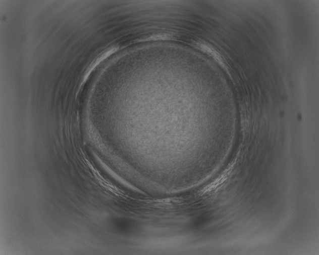 X0000070190827200605301310