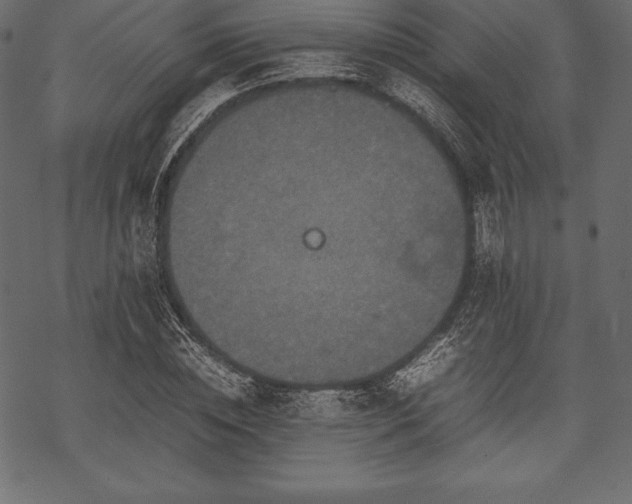 X0000070190828200605301310