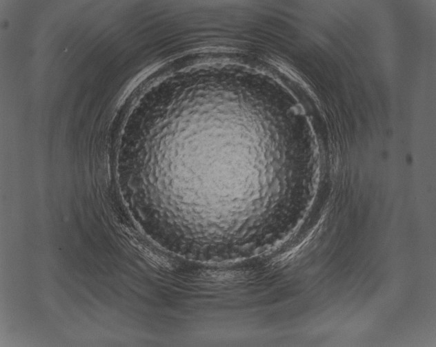 X0000070190829200605301310