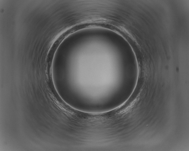 X0000070190830200605301310