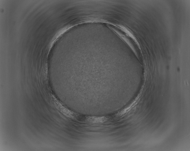 X0000070190831200605301310