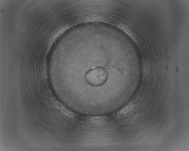 X0000070190832200605301310