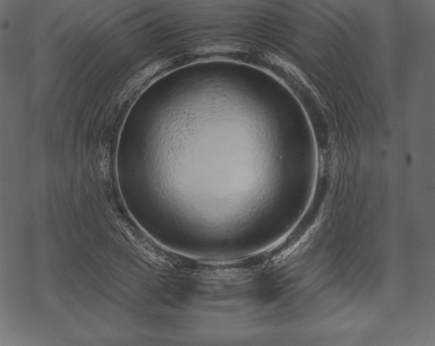 X0000070190833200605301310