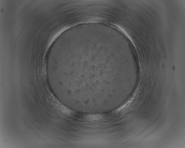 X0000070190835200605301310