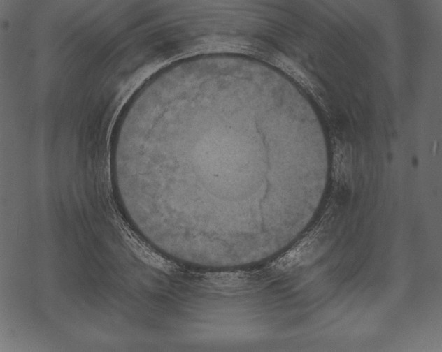 X0000070190836200605301310