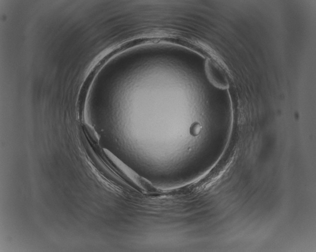 X0000070190837200605301310