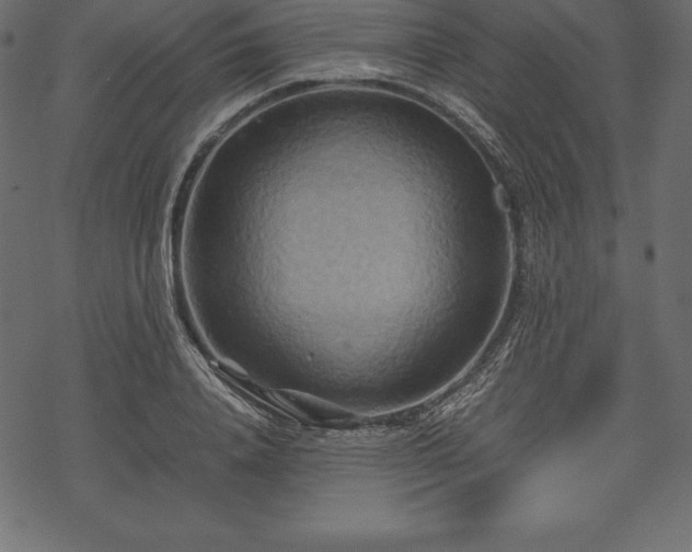 X0000070190840200605301310