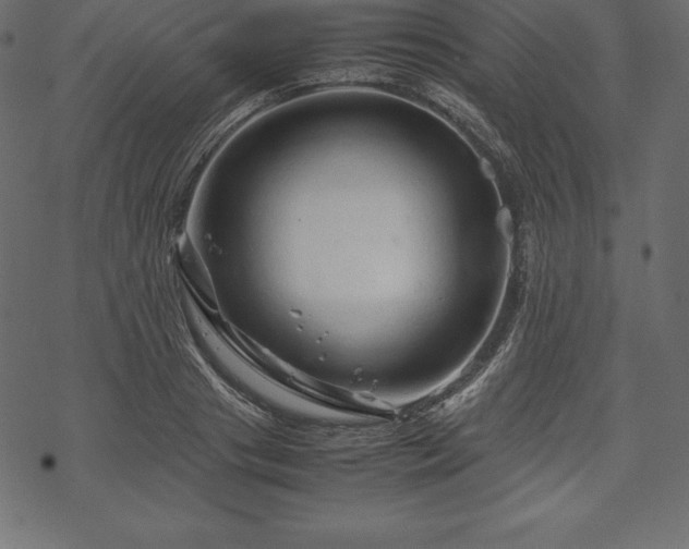 X0000070190841200605301310