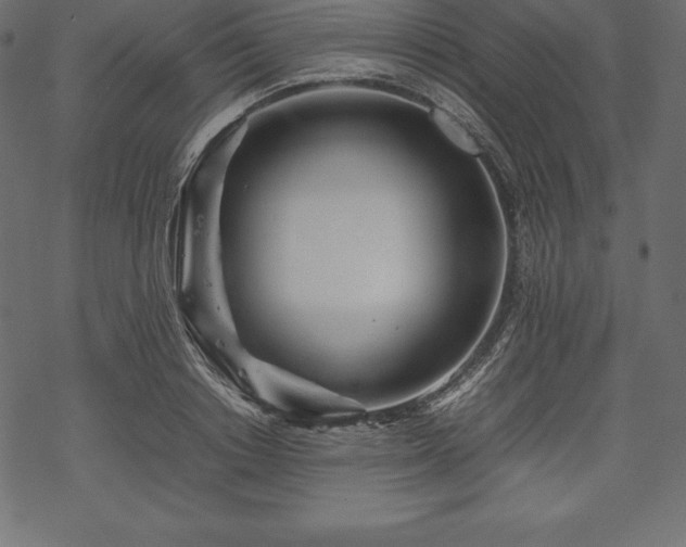 X0000070190842200605301310