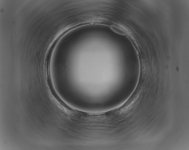 X0000070190843200605301310