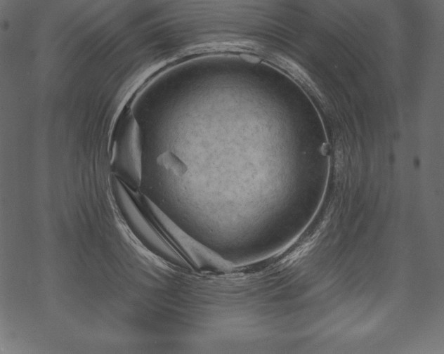 X0000070190844200605301310