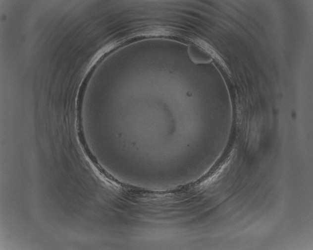 X0000070190845200605301310