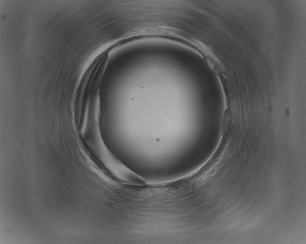 X0000070190846200605301310