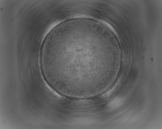 X0000070190847200605301311