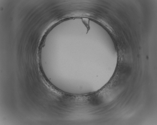 X0000070190848200605301311