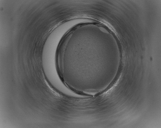 X0000070190849200605301311