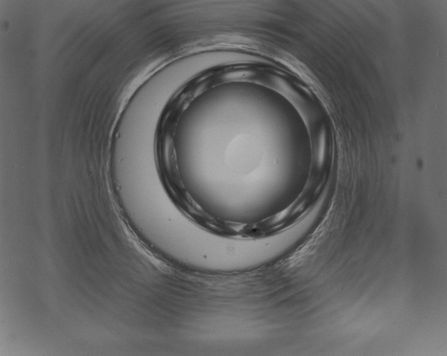 X0000070190850200605301311