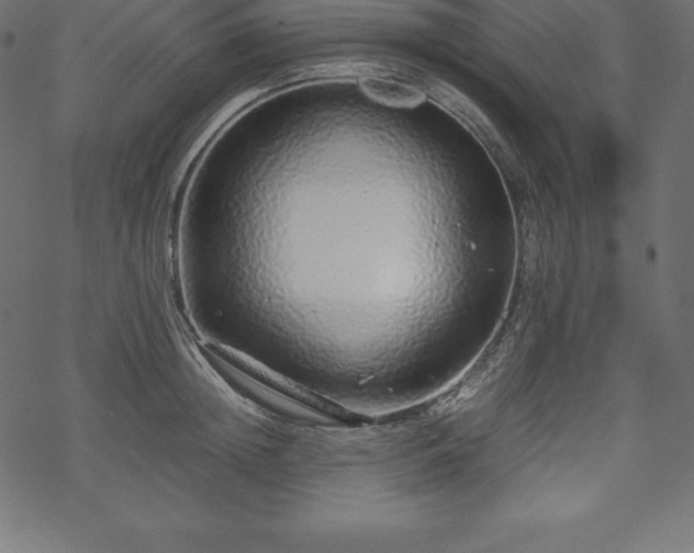 X0000070190852200605301311