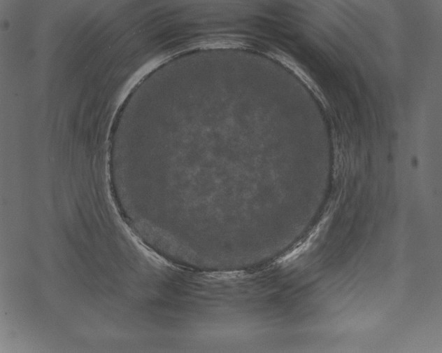 X0000070190853200605301311