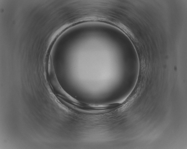 X0000070190854200605301311