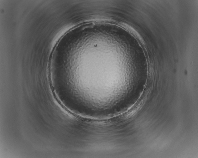 X0000070190855200605301311