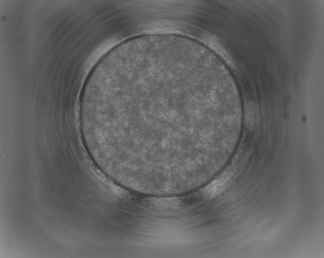 X0000070190856200605301311