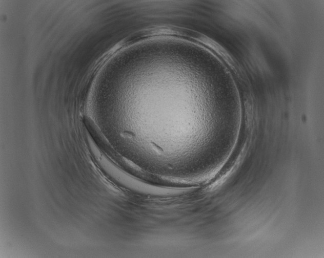 X0000070190857200605301311