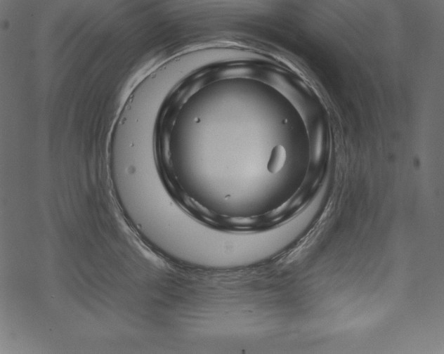 X0000070190858200605301311