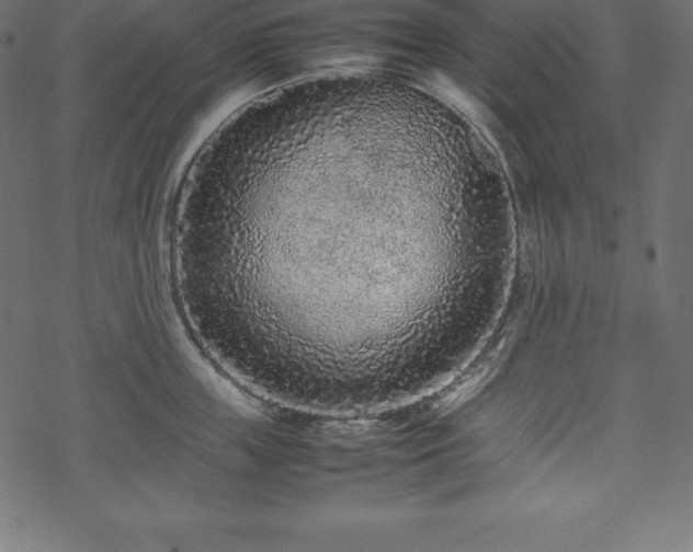 X0000070190859200605301311