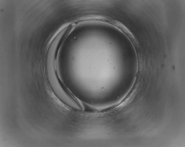 X0000070190860200605301311