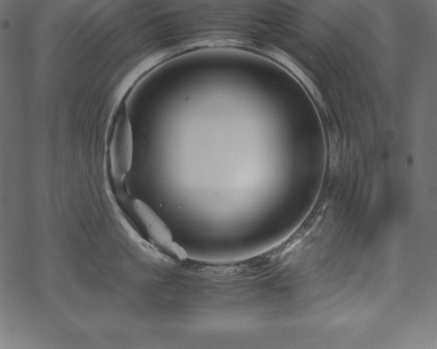 X0000070190861200605301311