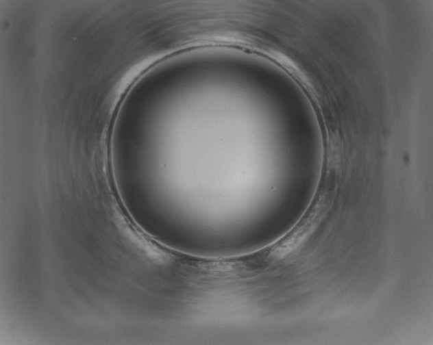 X0000070190862200605301311