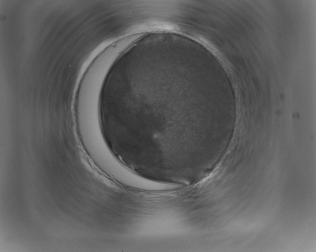 X0000070190864200605301311