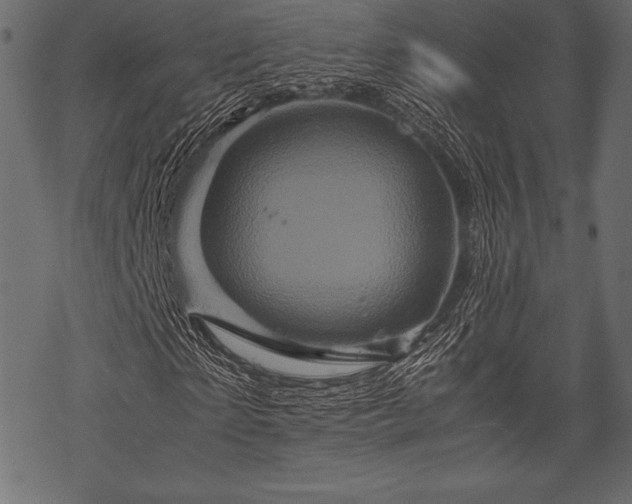 X0000070190865200605301310