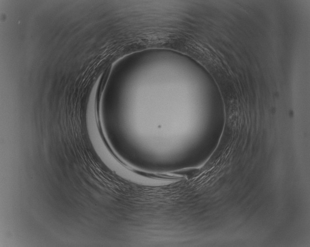 X0000070190866200605301310