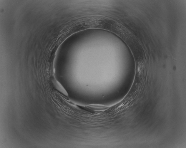 X0000070190867200605301310