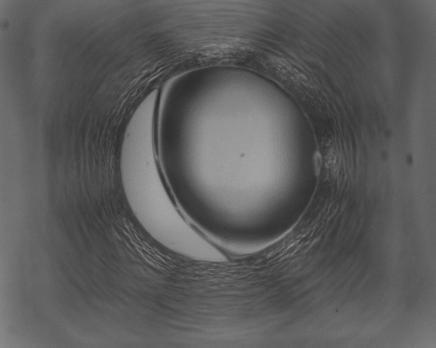 X0000070190868200605301310