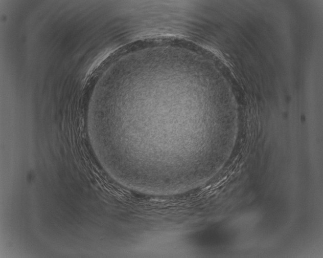 X0000070190871200605301310