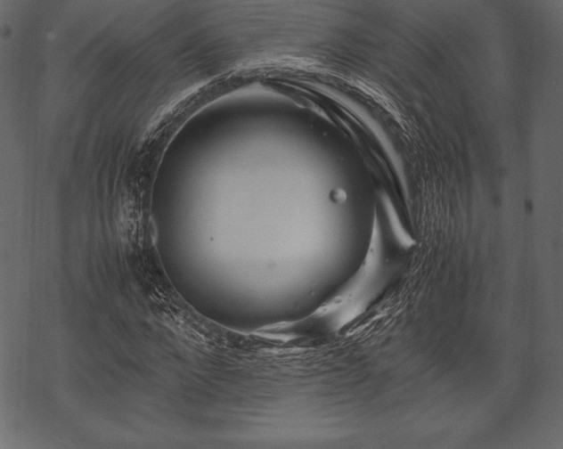 X0000070190872200605301310