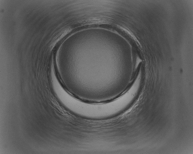 X0000070190873200605301310