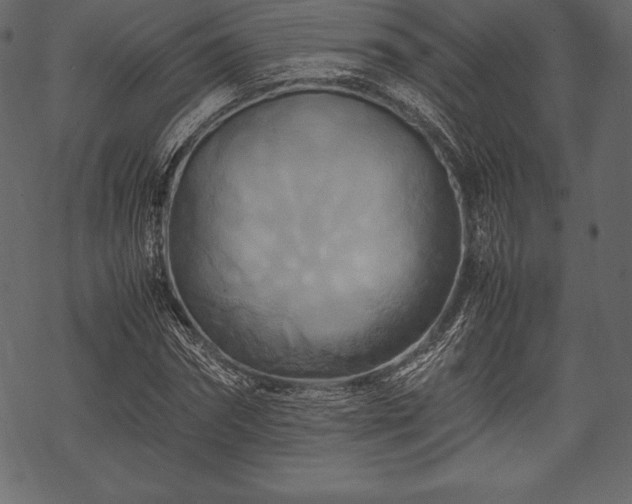 X0000070190874200605301310