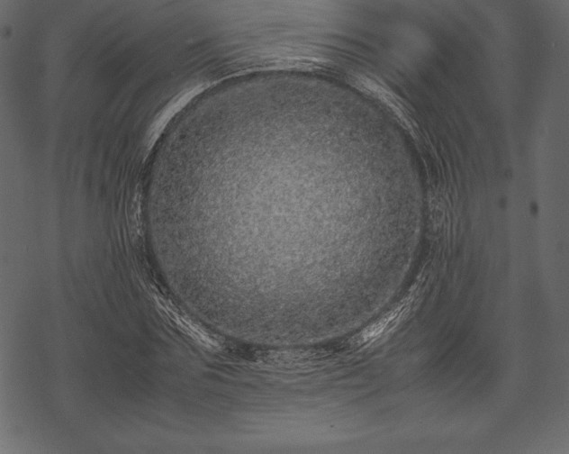 X0000070190875200605301310