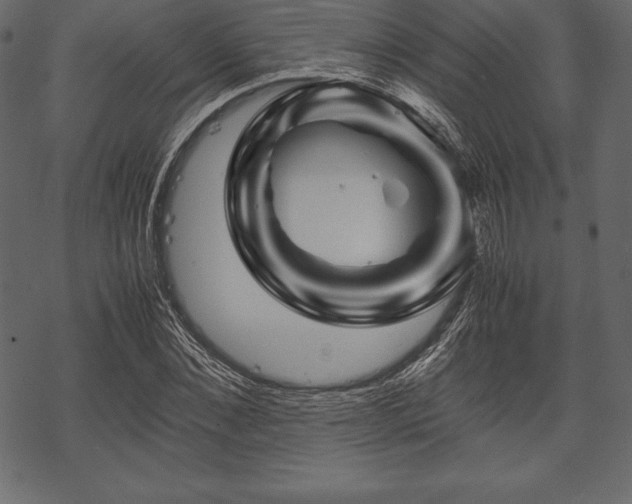 X0000070190876200605301310