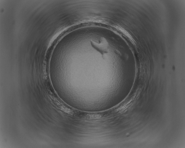 X0000070190878200605301310