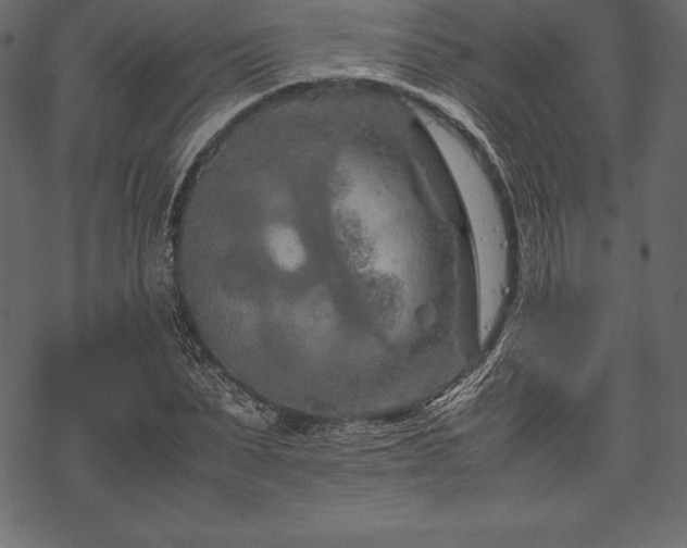 X0000070190879200605301310