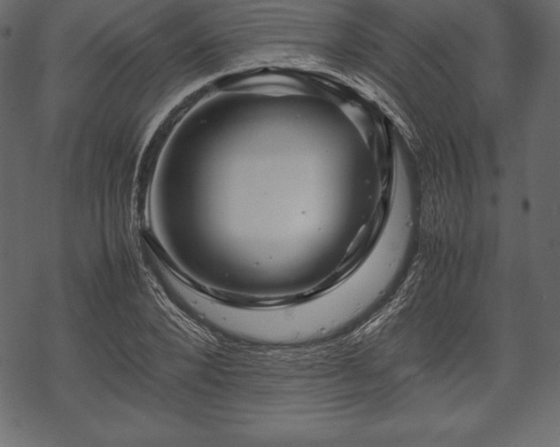 X0000070190880200605301310