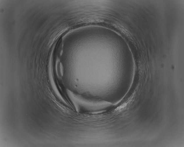 X0000070190881200605301310