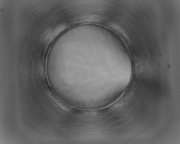 X0000070190882200605301310