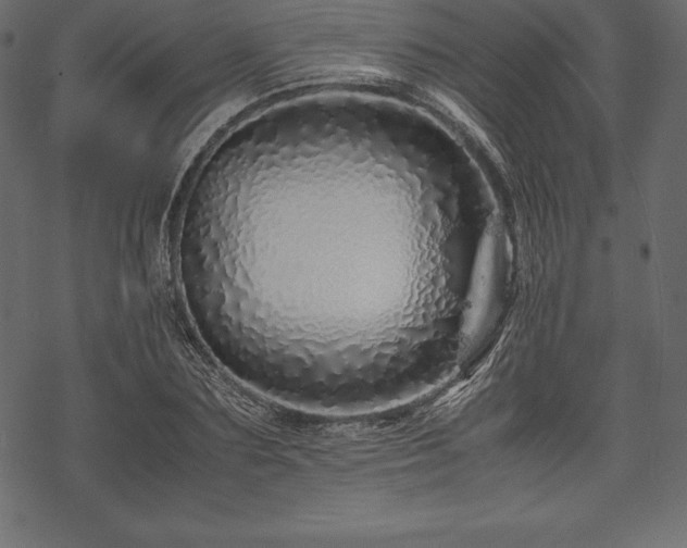 X0000070190883200605301310